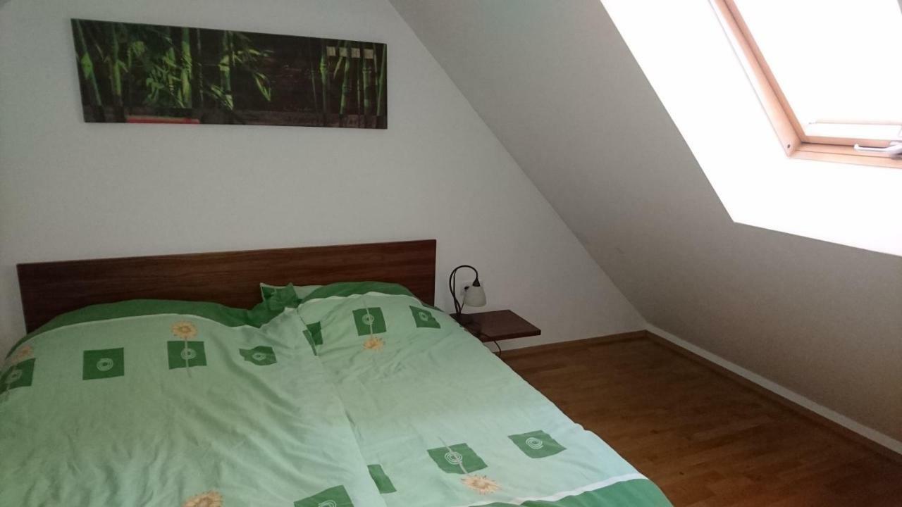 Apartma Geoteh Terme Catez 6032 Villa Krško Esterno foto